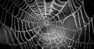 Europol announces bust of “world’s biggest” dark web marketplace